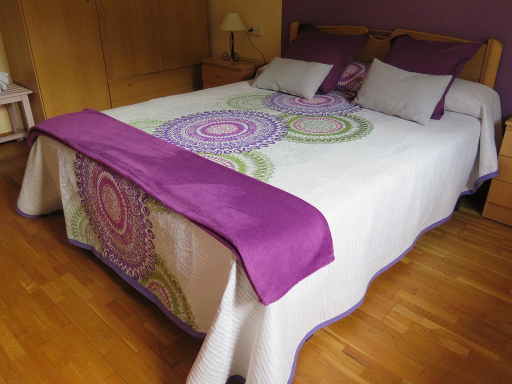 Apartaments El Ribal Valencia D'Aneu Exteriér fotografie